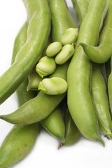 fave fresche_ sfondo bianco