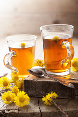 herbal tea with coltsfoot flowers