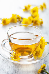 herbal tea with coltsfoot flowers