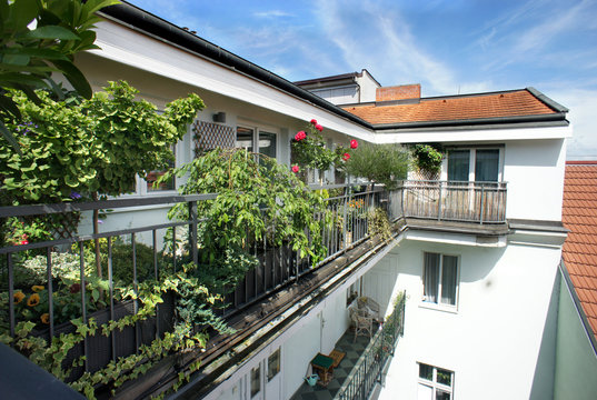 Beautiful terrace with a lot of flowers
