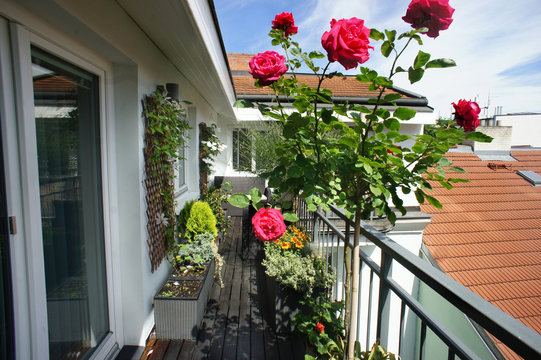 Beautiful terrace with a lot of flowers