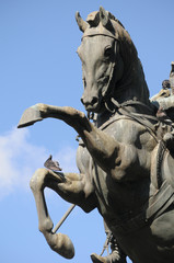 cavallo