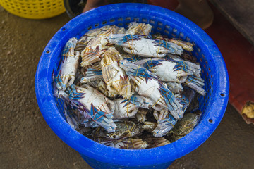 Lots of blue crabs in basket for sale