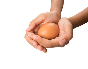 Young girl hand holding chicken eggs