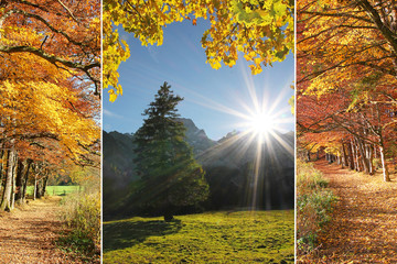 Collage - goldener Herbst