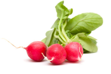 radish