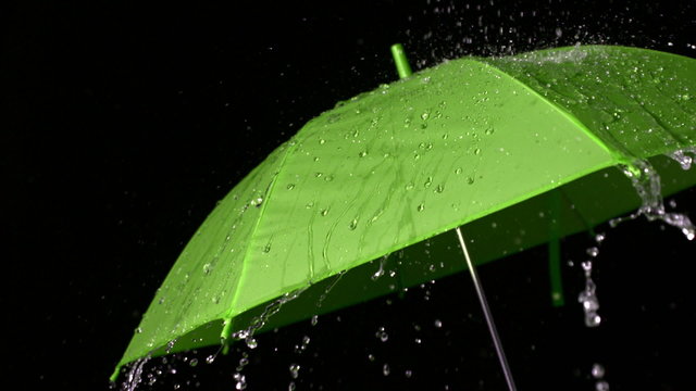 Rain falling on green umbrella