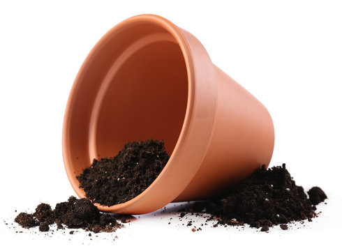 Clay Flower Pot With Soil, Isolated On White