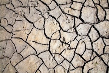 summer drought
