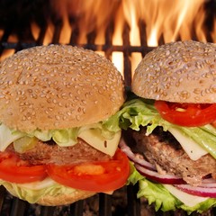 Two grilled cheeseburgers