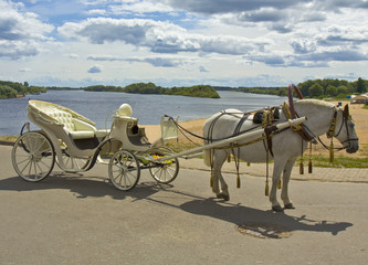 White horse with white carriage