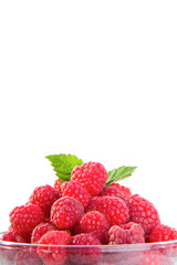 fruit berry