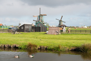 Fototapeta premium Les moulins de Zaanse Schans en Hollande