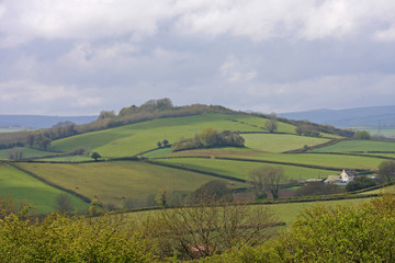Fototapeta na wymiar Devon countryside