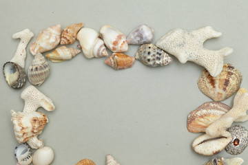 frame made ​​of shells
