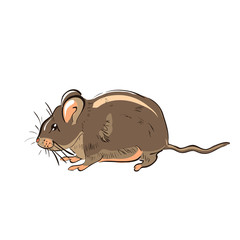 Illustration of hand drawn funny rat