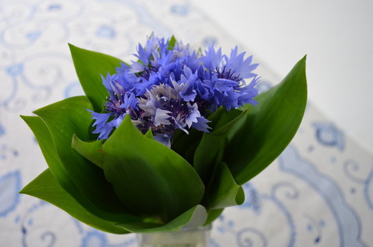 Fototapeta Beautiful cornflowers in a glass vase