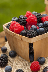 Healthy Organic Ripe Berries