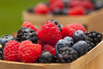 Healthy Organic Ripe Berries