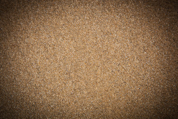 Fototapeta na wymiar Sandy beach backgroun