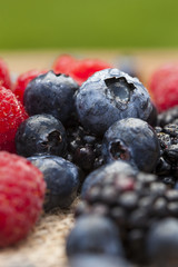 Healthy Organic Ripe Berries