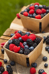 Healthy Organic Ripe Berries