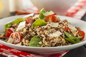 Healthy Vegetarian Quinoa Salad
