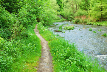 Fototapeta na wymiar Clean highland river with green banks and narrow trail