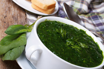 Vitamin spinach soup with croutons horizontal