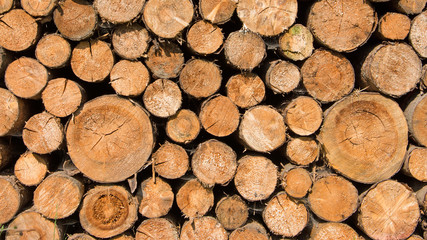 Holzstapel