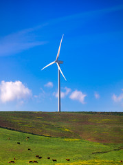 Wind turbine on green meadow. Spain ecologist