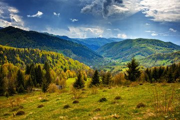 Fototapeta na wymiar Alpine landscape with pine forests