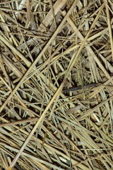 straw background