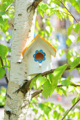Birdhouse in garden outdoors