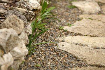 Stone trail , close-up