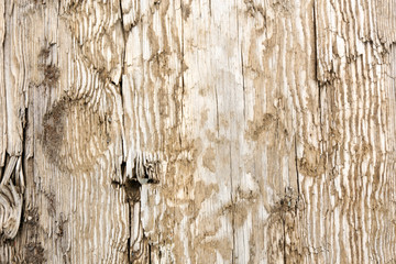 Wood plank brown texture background