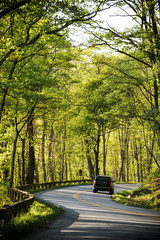 winding road