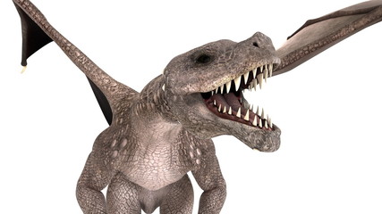 ドラゴン