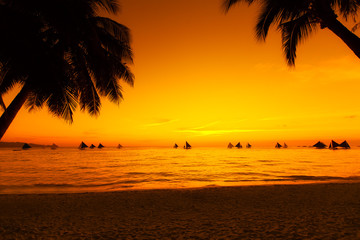 Sailboats at sunset on a tropical sea. Palms on the beach. Silho