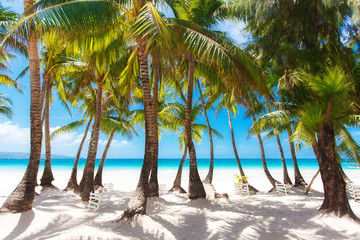 tropical sand beach with palm trees, summer vacation