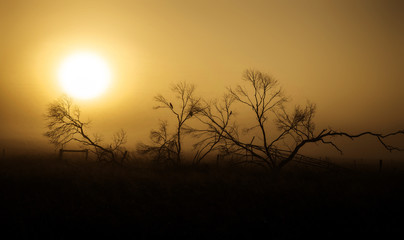 Beautiful foggy sunrise