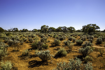 Desert sunrise Australia