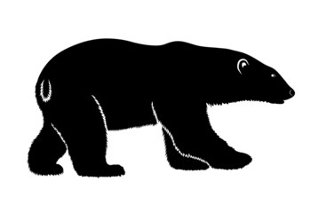 polar bear on a white background