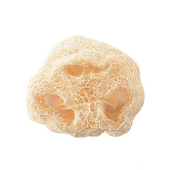 Loofah - natural fiber for body scrubbing - isolated on white