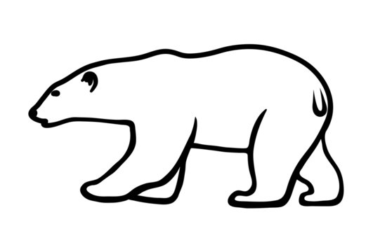 Белый медведь шаблон для вырезания Polar Head Vector Images - Browse 40,798 Stock Photos, Vectors, and Video Adobe 