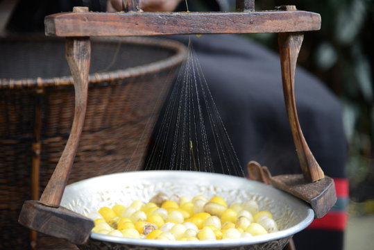 Silk extraction from cacoons in Thailand