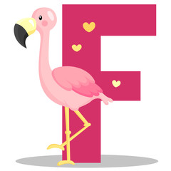 F for Flamingo