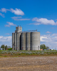 Grain storage facility with silos