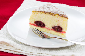 delicious slice of cake on plate