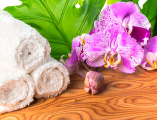 Spa still life with unusual lilac orchid flowers, phalaenopsis a